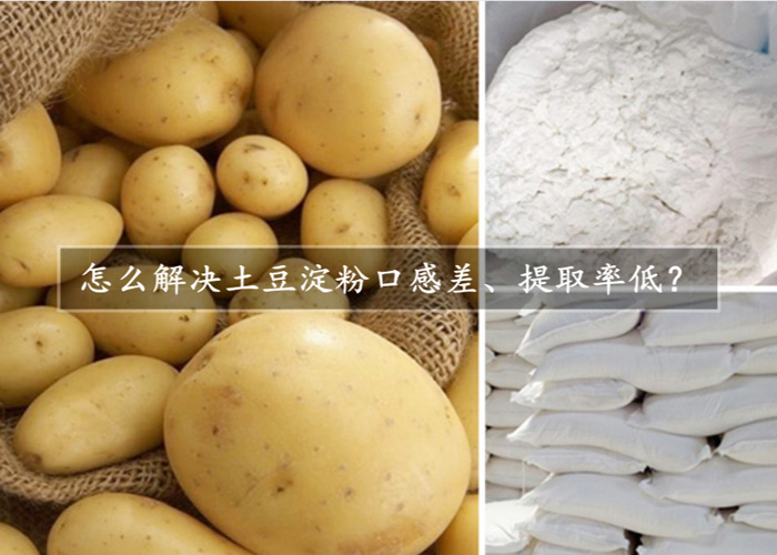 怎么解決土豆淀粉口感差、提取率低？