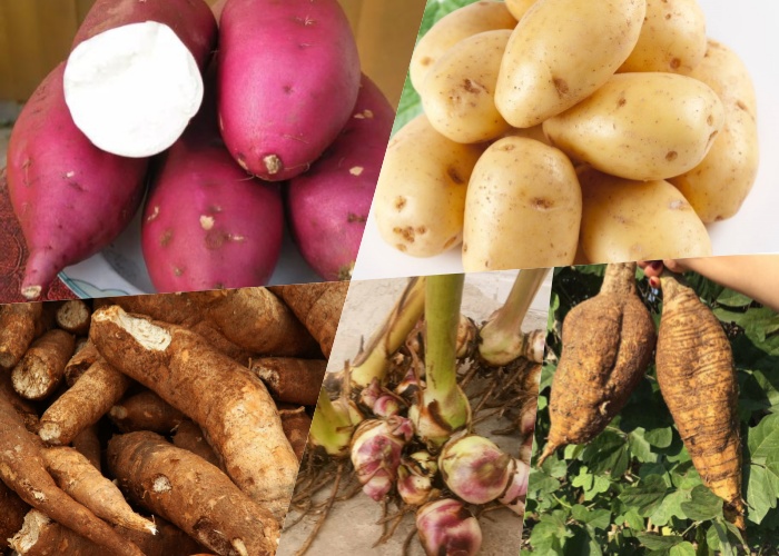 薯類(lèi)淀粉加工