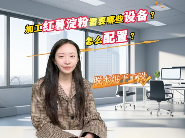 加工紅薯淀粉需要哪些設(shè)備？怎么配置？ ——脫水干燥階段