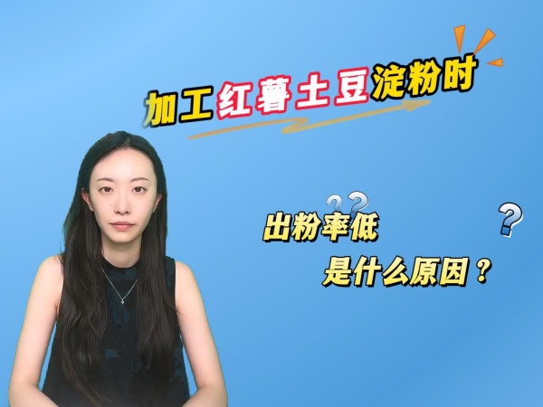 加工紅薯土豆淀粉，淀粉出粉率低是什么原因？