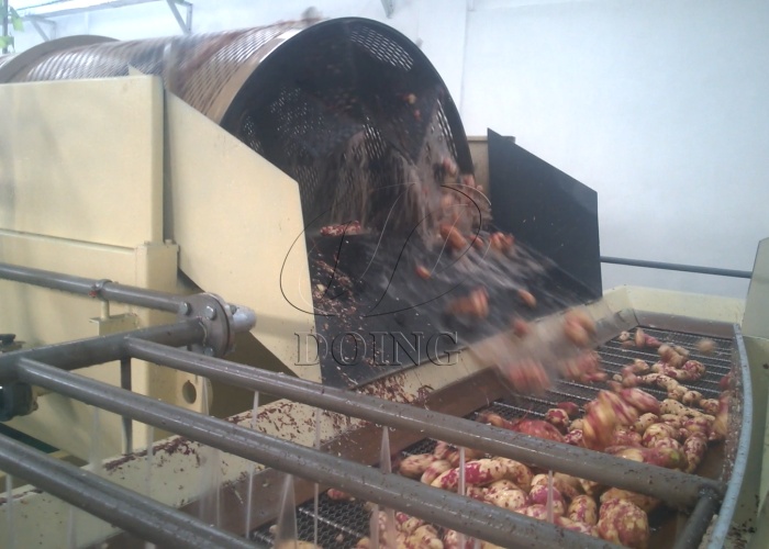 紅薯土豆清洗設(shè)備