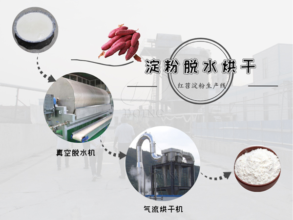 在紅苕淀粉生產(chǎn)線中，怎么脫水烘干紅苕淀粉乳？